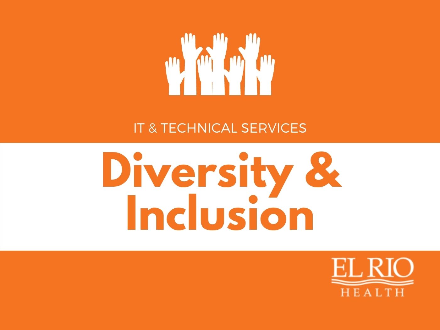 Diversity & Inclusion