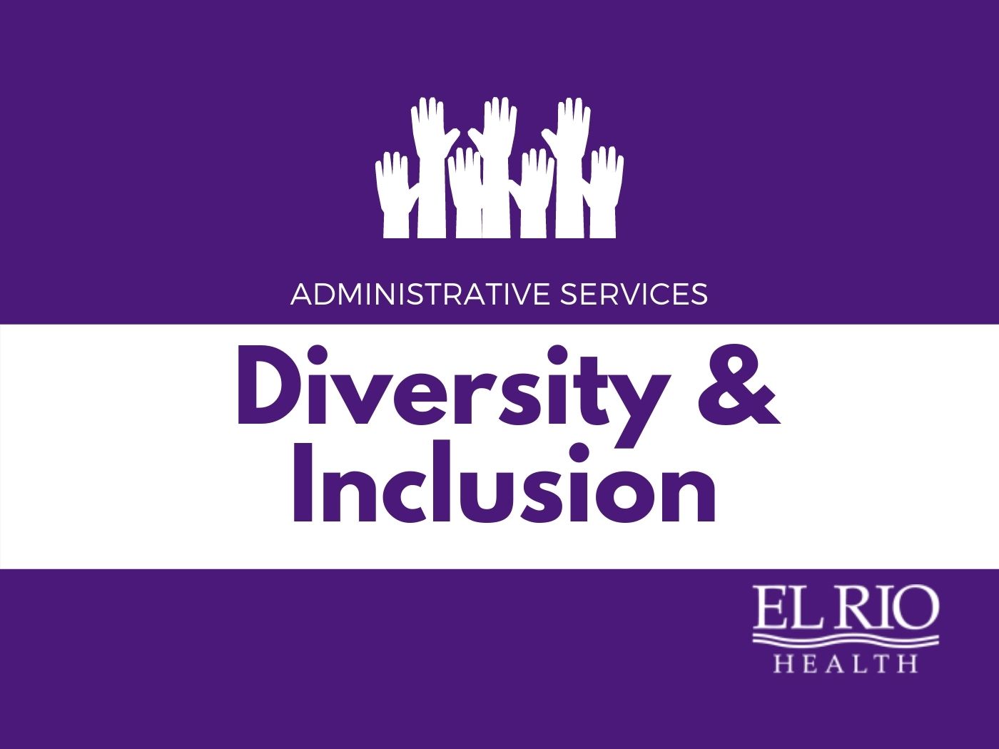 Diversity & Inclusion
